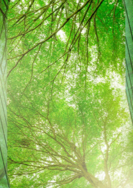 必维CDP问卷填报服务