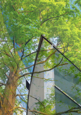 科学碳目标(SBTi) 服务