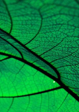 必维产品生命周期评价 (LCA) 服务