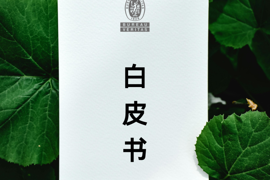 必维消费品行业白皮书 必维消费品行业白皮书